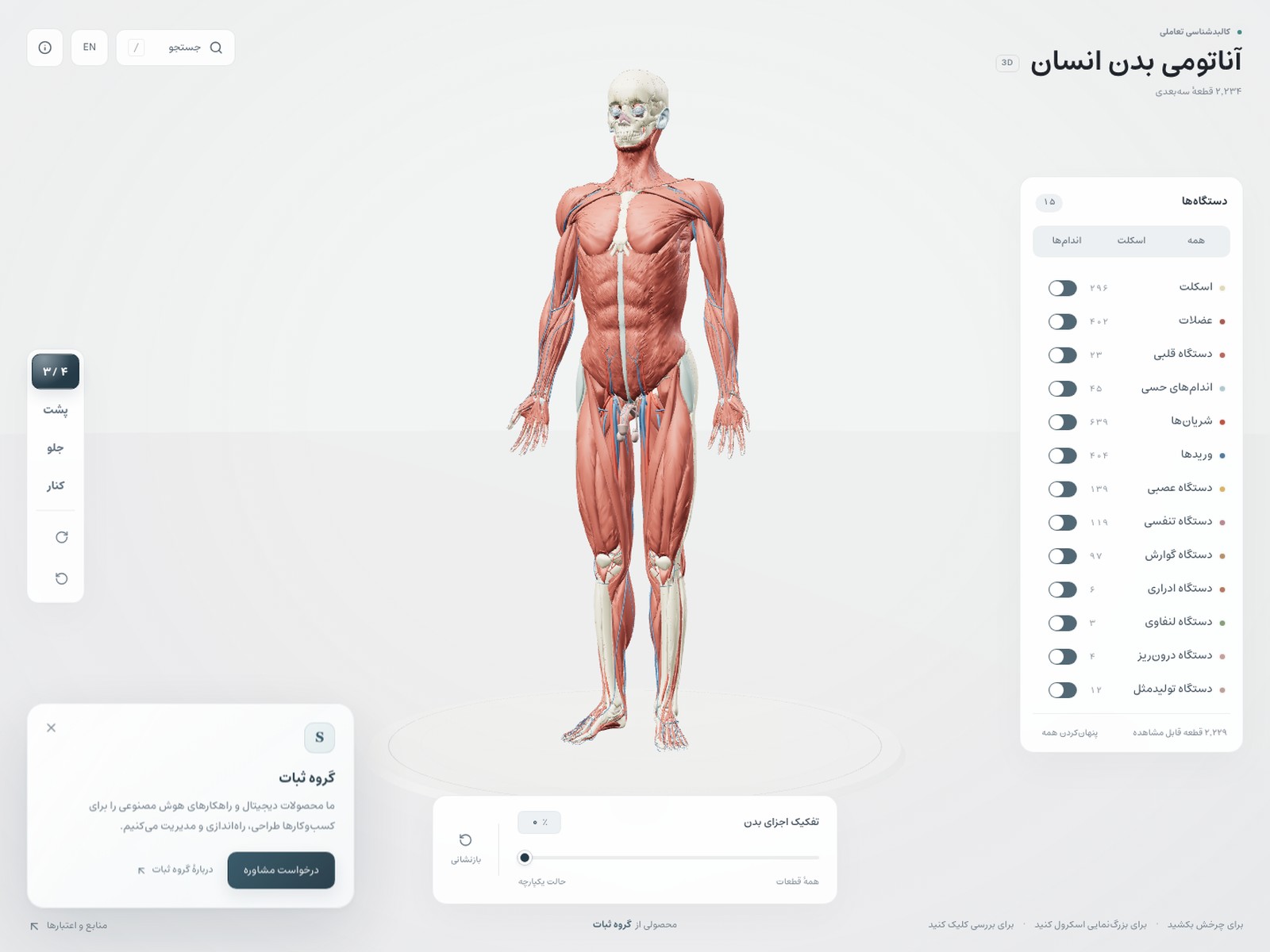 آناتومی — آموزش پزشکی